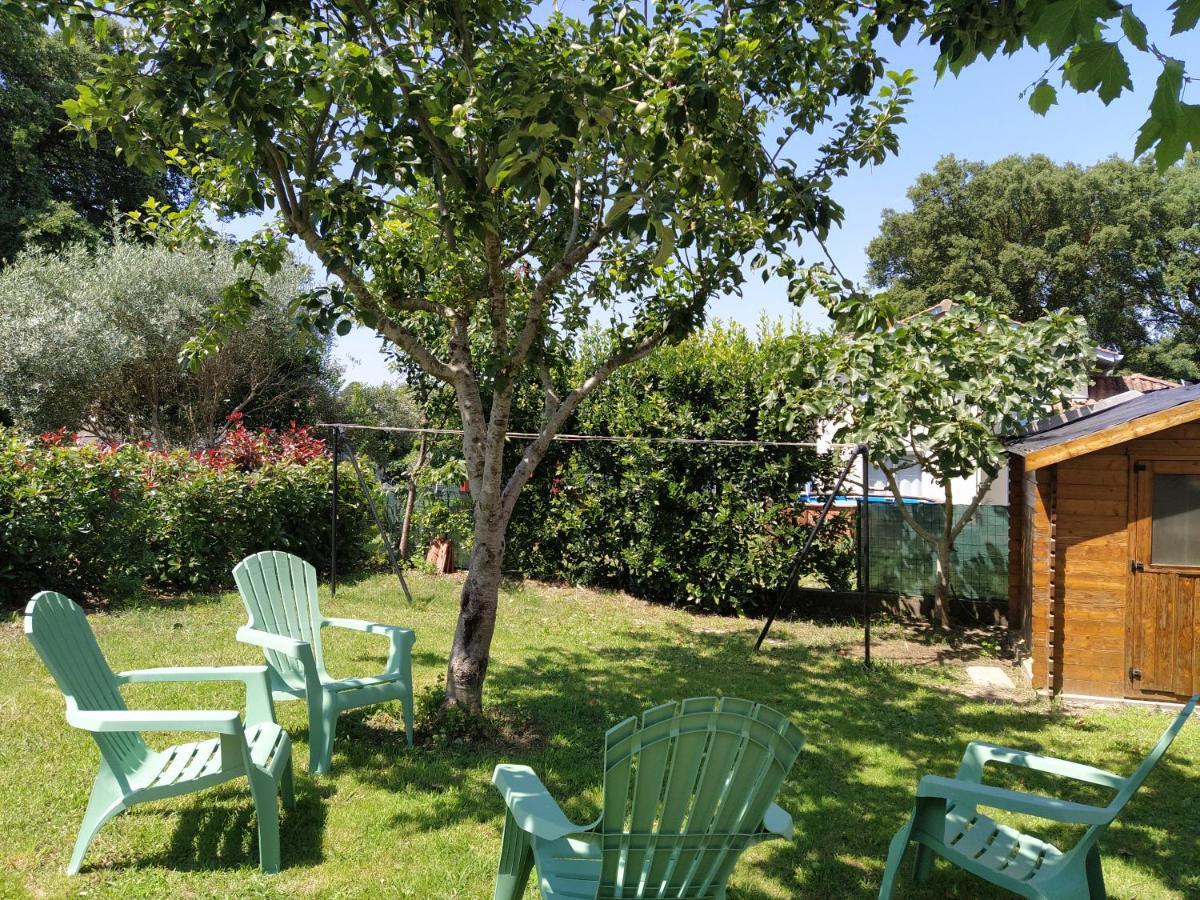 Maison Christy, Spacieux, Calme Avec Jardin Ondres Eksteriør bilde